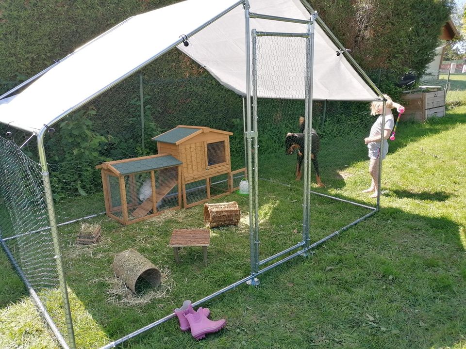 Chicken Run Coop