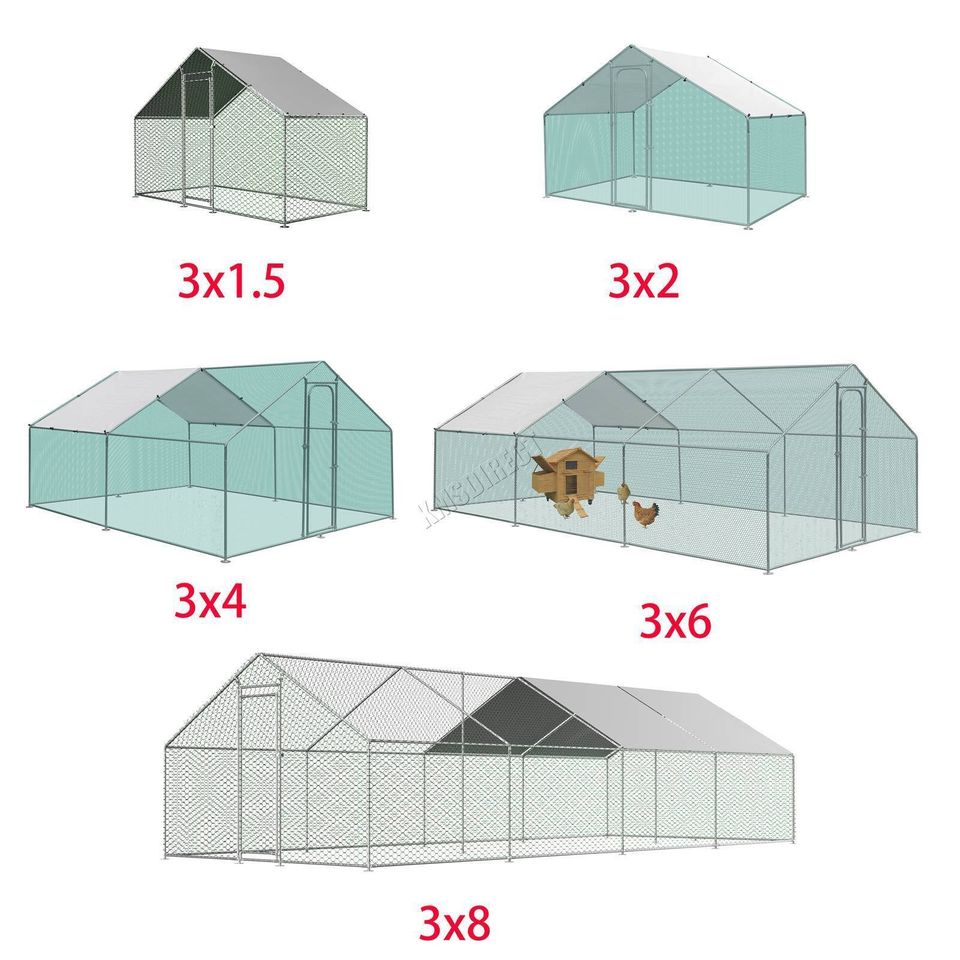 Chicken Run Coop