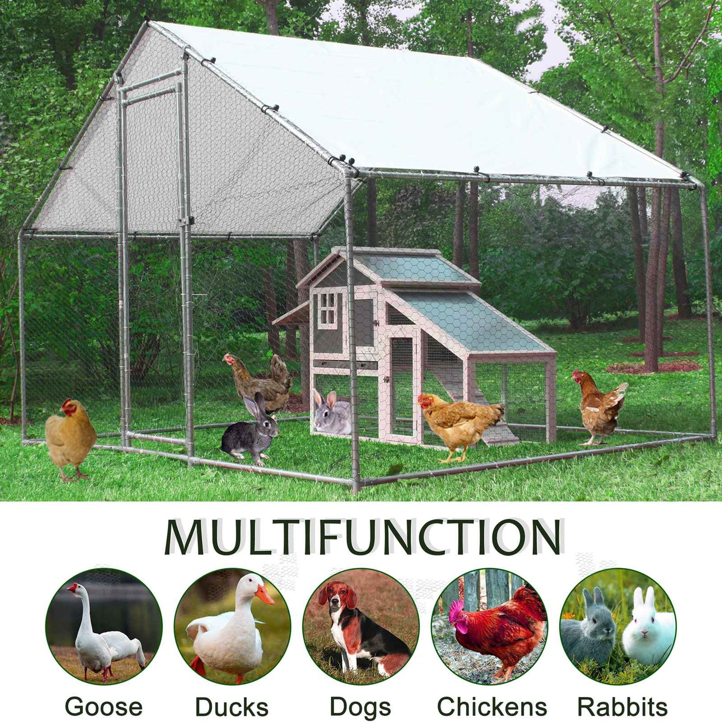 Chicken Run Coop