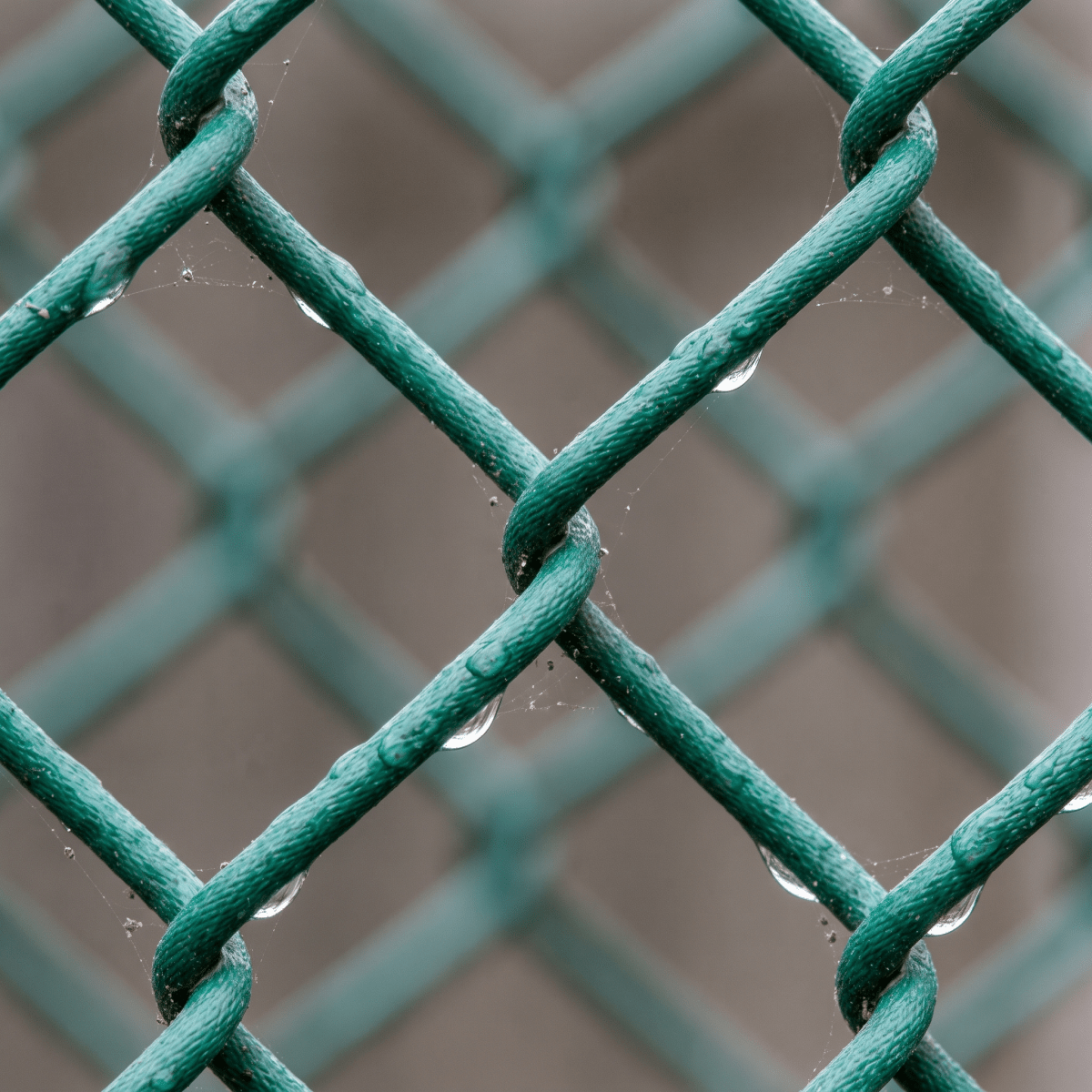 Chain Link Fencing — Galvanised & PVC Wire Mesh Rolls - Rackerman