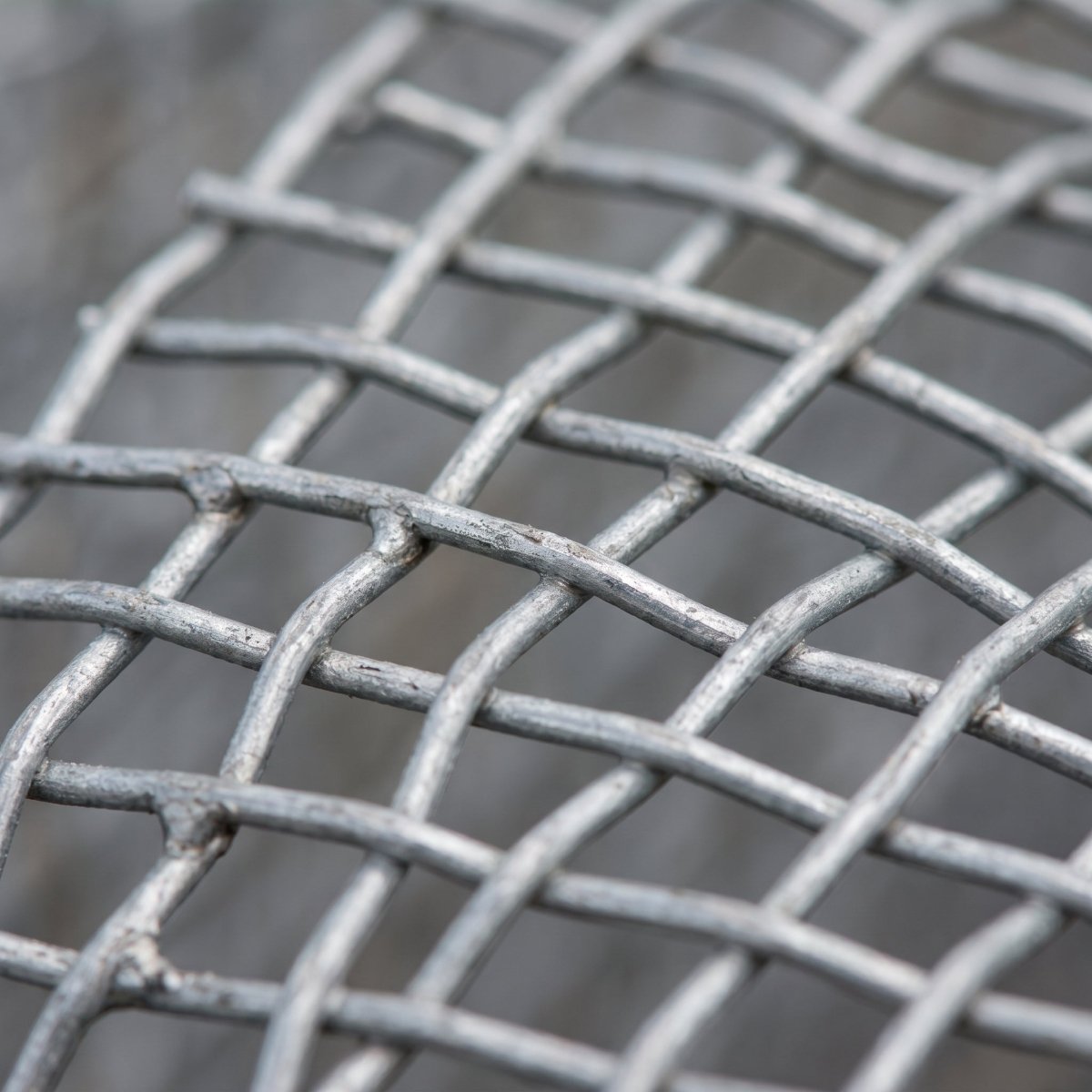 Aviary Mesh — Galvanised Welded Mesh for Aviaries & Small Animals - Rackerman