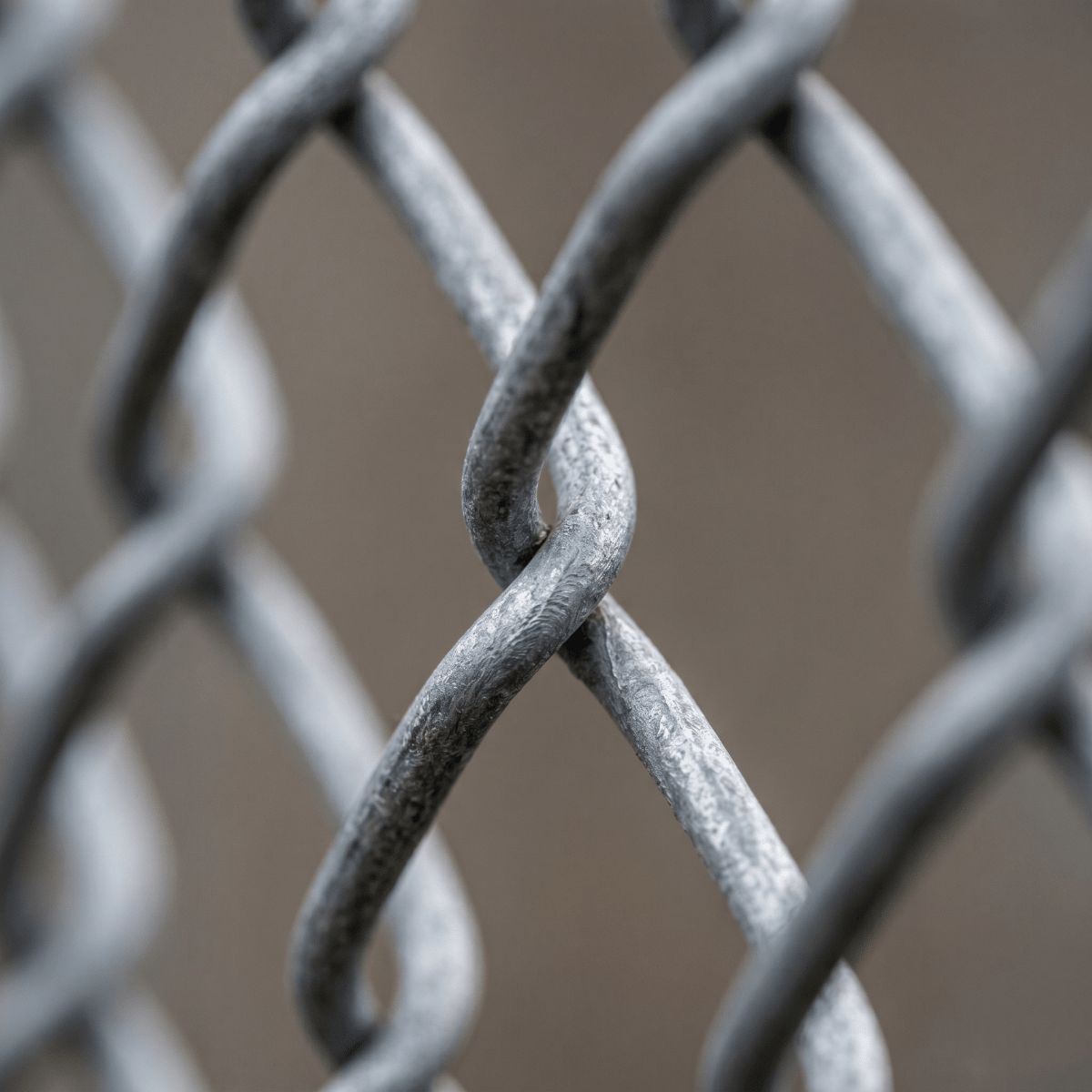 Chain Link Fencing — Galvanised & PVC Wire Mesh Rolls - Rackerman