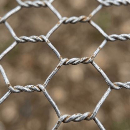 Chicken Wire — Galvanised & PVC-Coated Mesh Rolls - Rackerman