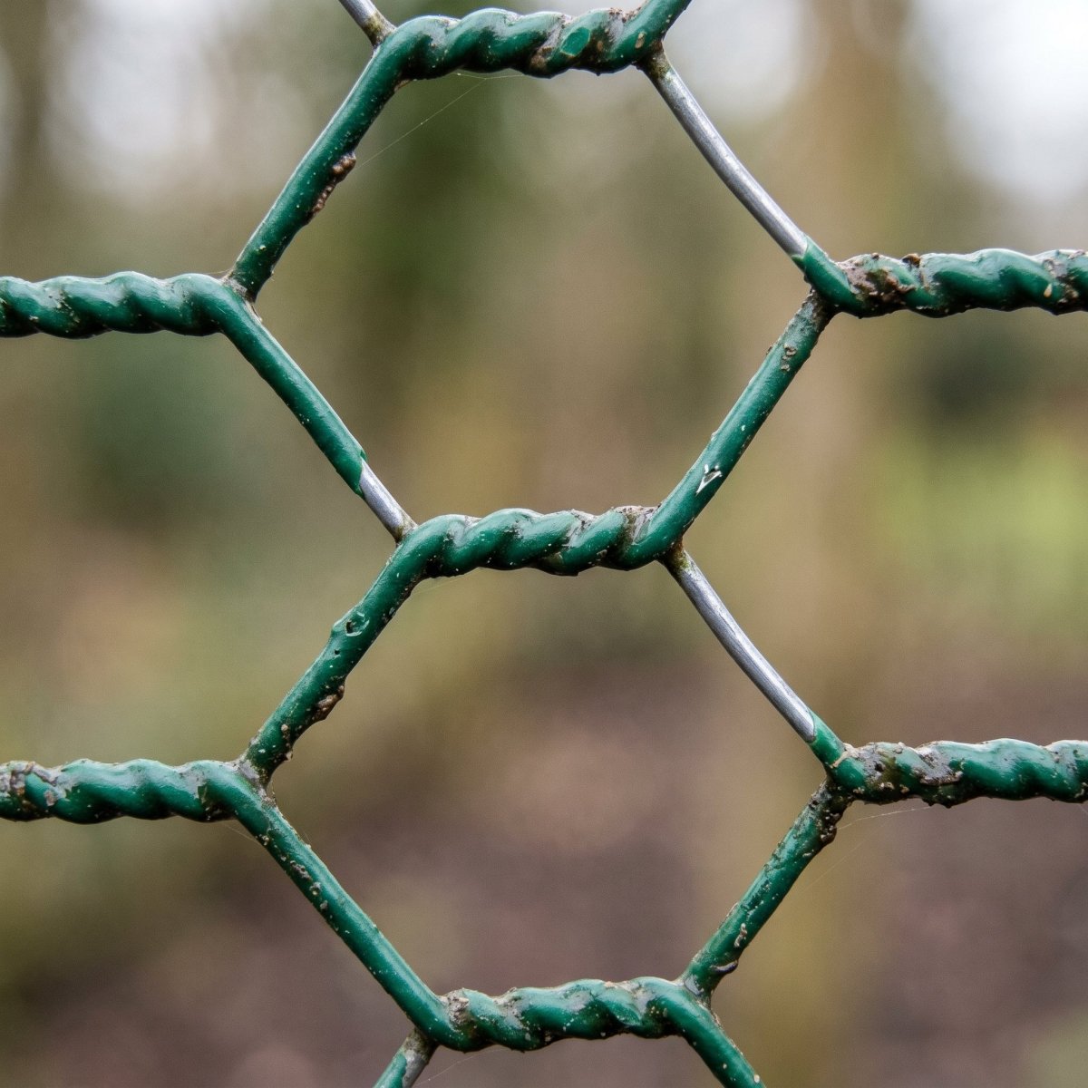 Chicken Wire — Galvanised & PVC-Coated Mesh Rolls - Rackerman