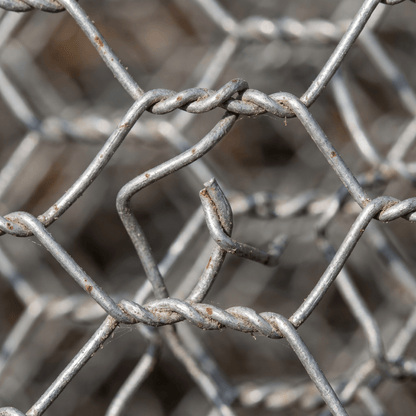 Chicken Wire — Galvanised & PVC-Coated Mesh Rolls - Rackerman