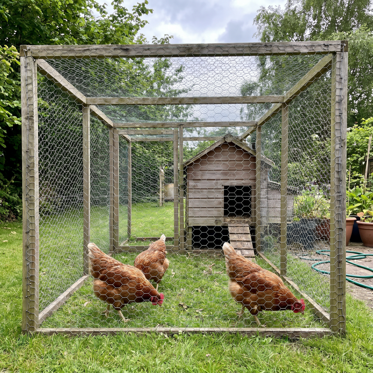 Chicken Wire — Galvanised & PVC-Coated Mesh Rolls - Rackerman