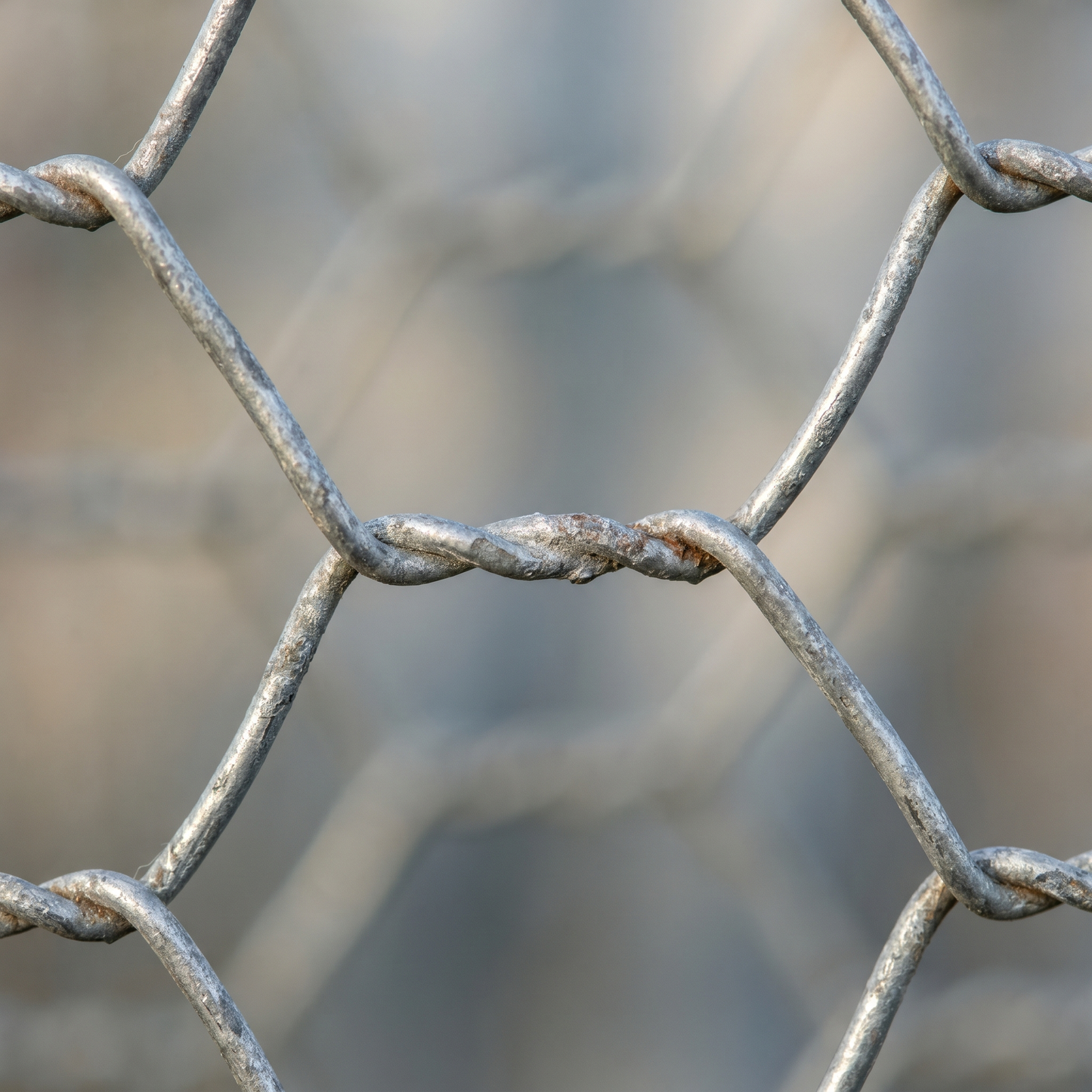 Close-up of galvanised chicken wire hexagonal mesh weave