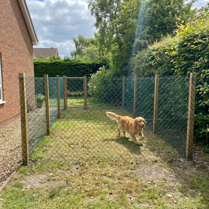 Green PVC chain link dog run enclosure in a UK garden