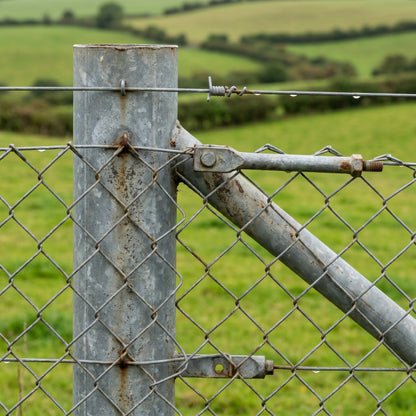Chain link fence fixed to galvanised line posts with straining wire