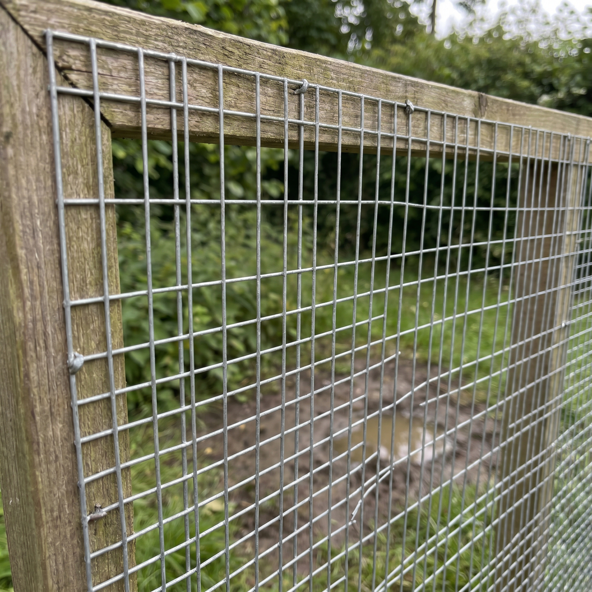 Galvanised welded wire mesh on a rabbit and poultry run