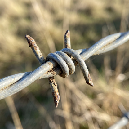 Close-up of galvanised twin-strand barbed wire and sharp barbs
