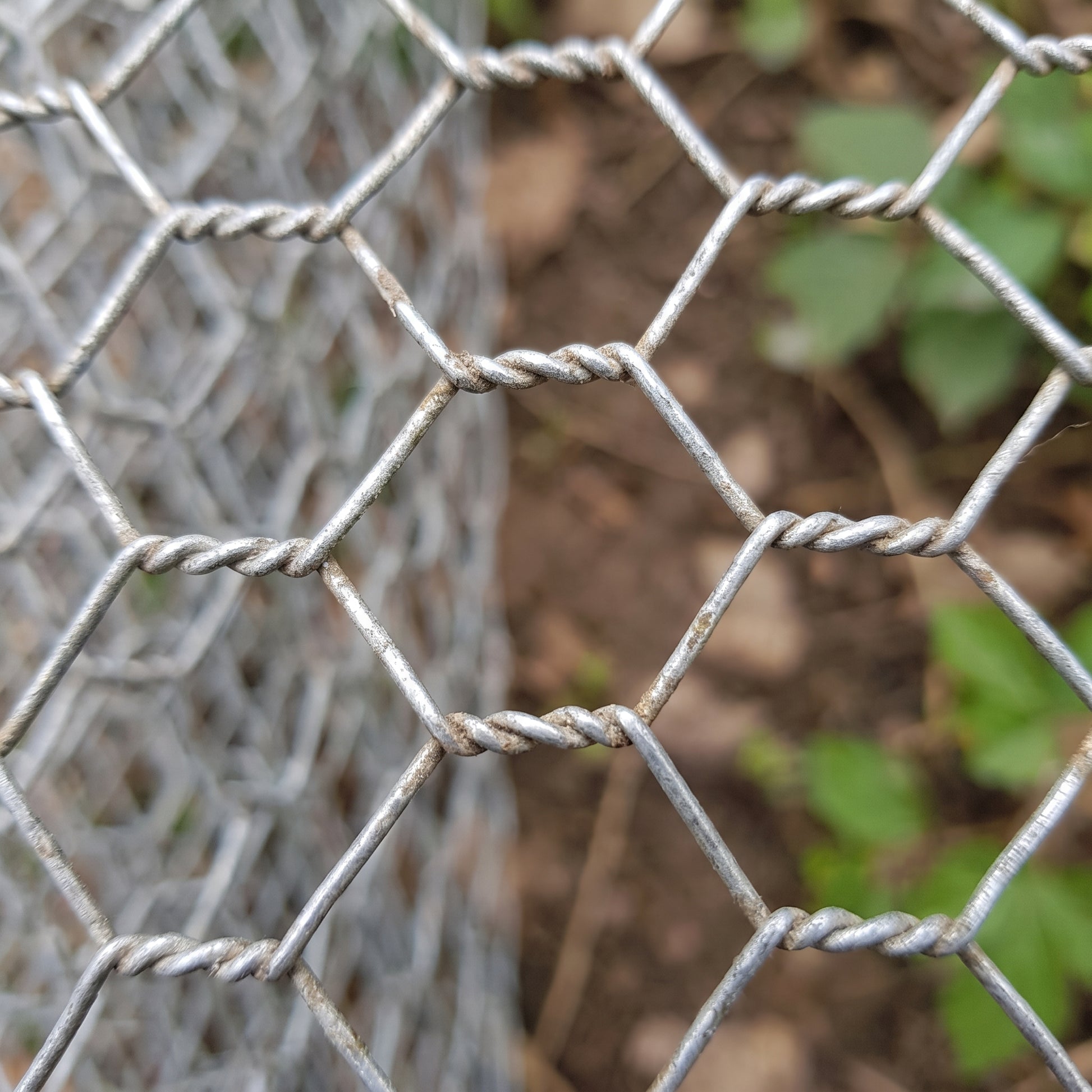 Close-up of 31mm galvanised rabbit wire netting
