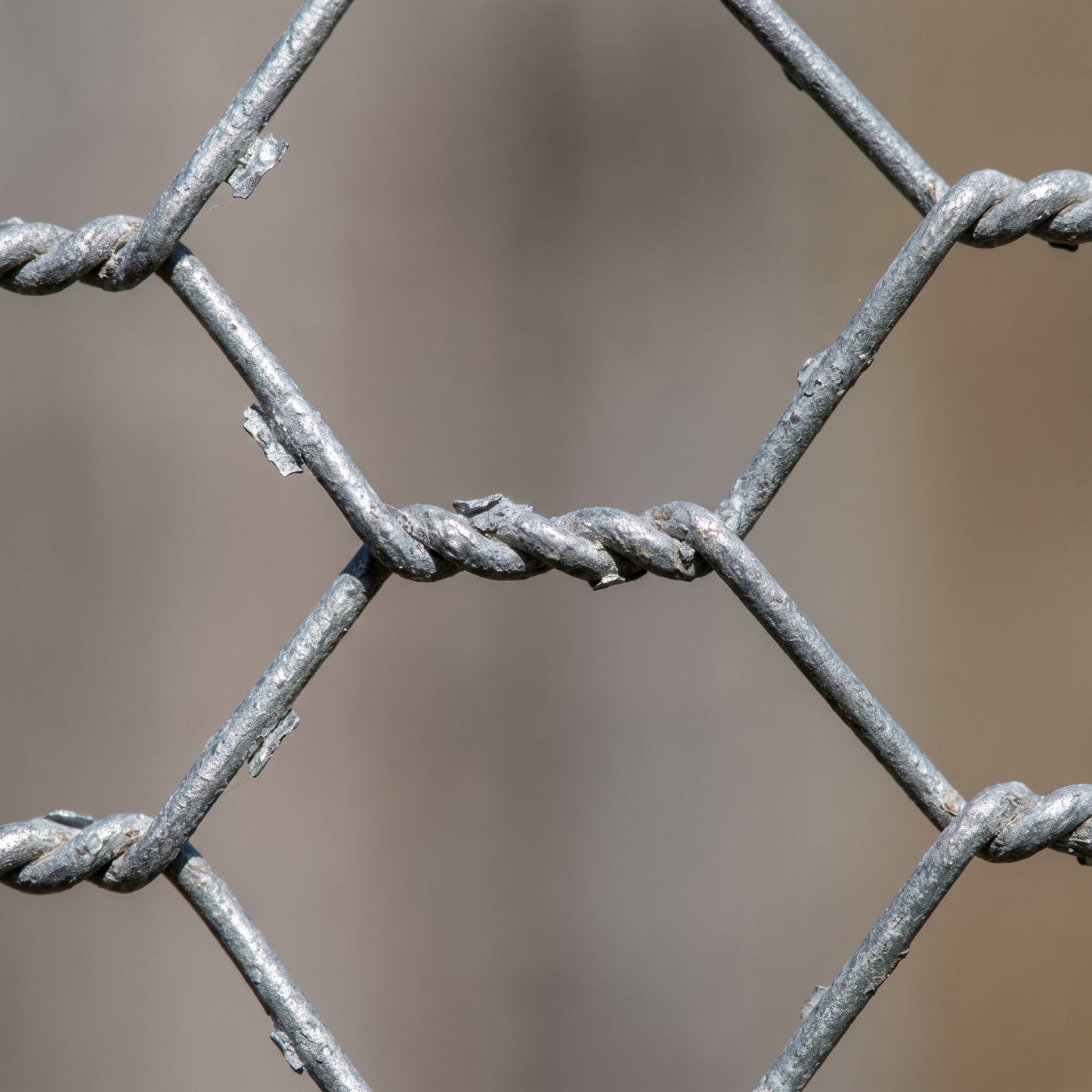 Close-up of 13mm galvanised hexagonal chicken wire