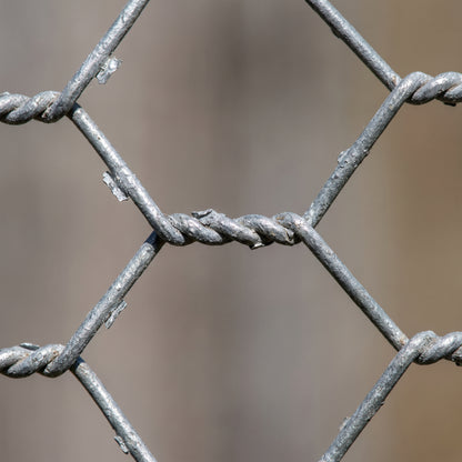 Close-up of 13mm galvanised hexagonal chicken wire