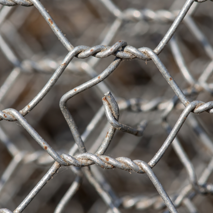 Close-up of 50mm galvanised hexagonal chicken wire