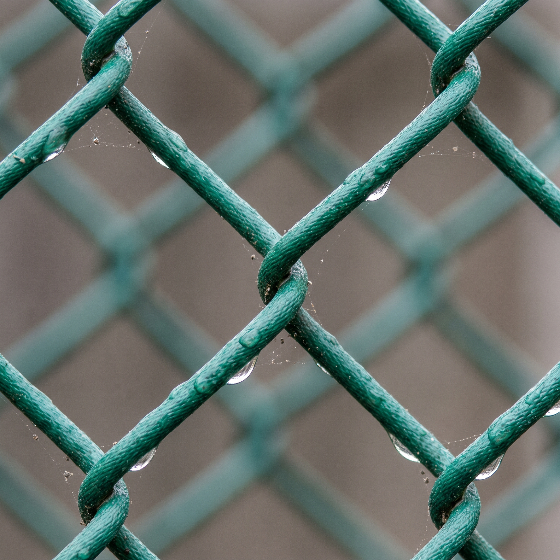 Close-up of green PVC-coated chain link diamond mesh