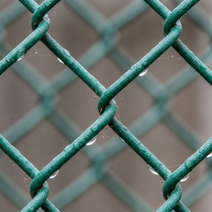 Close-up of green PVC-coated chain link diamond mesh