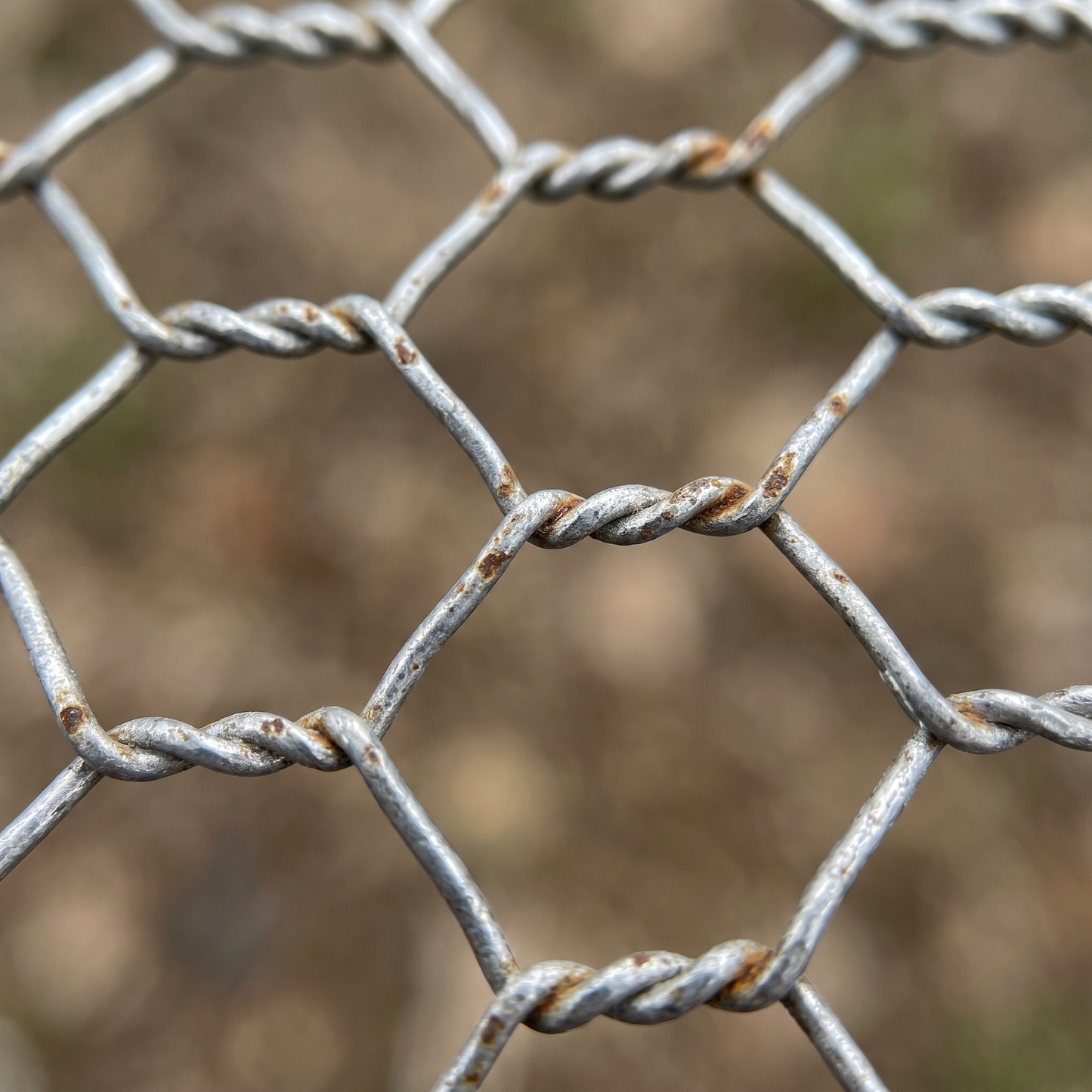 Close-up of 25mm galvanised hexagonal chicken wire