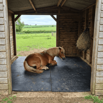 Horse Equestrian Rubber Stable Mats - 6'x4' - Rackerman