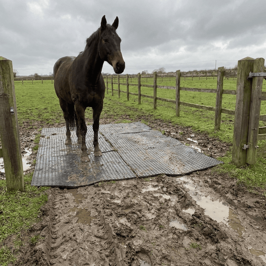 Rubber Grass Mats – Heavy-Duty Grass Protection & Gateway Matting - Rackerman