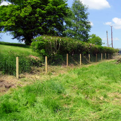 Heavy Duty Stock Fencing Roll – Galvanised Hinge‐Joint Wire Mesh