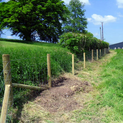 Heavy Duty Stock Fencing Roll – Galvanised Hinge‐Joint Wire Mesh