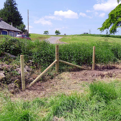 Heavy Duty Stock Fencing Roll – Galvanised Hinge‐Joint Wire Mesh