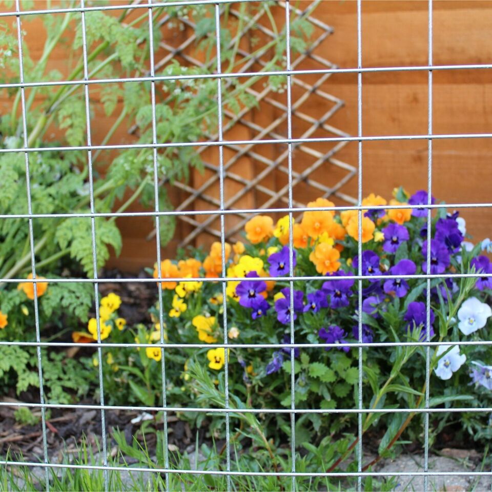 Galvanised Welded Mesh Panel – 50mm Holes, 6ft x 3ft, 12 Gauge