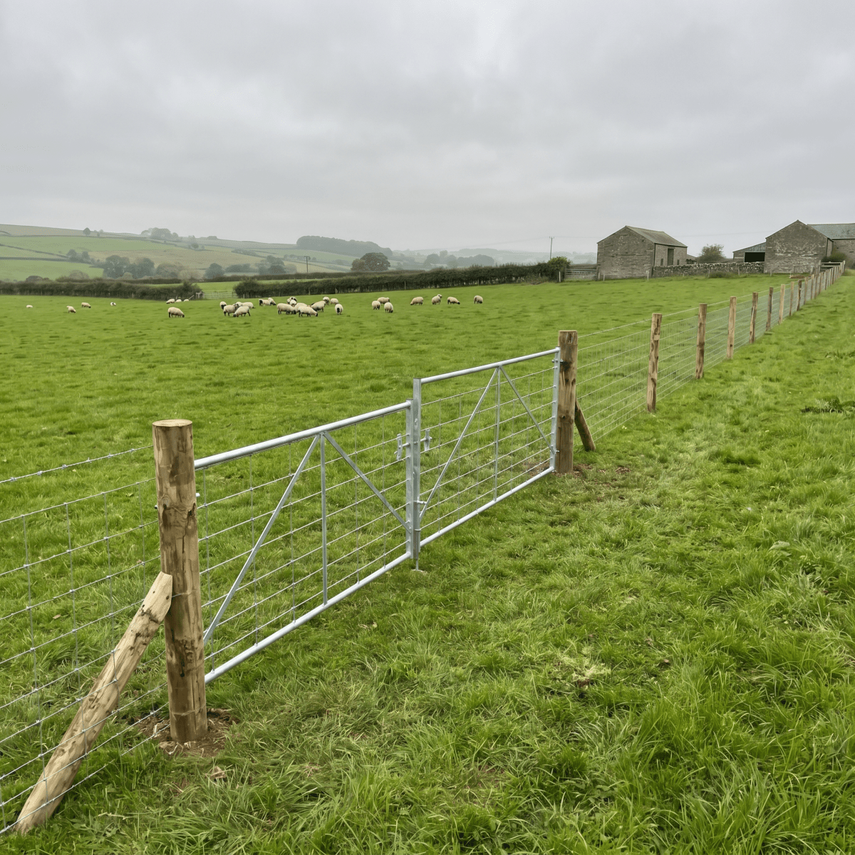 Stock Fencing — Galvanised Farm & Agricultural Fence Rolls - Rackerman