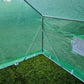 Polytunnel Galvanised Greenhouse 6m x 3m