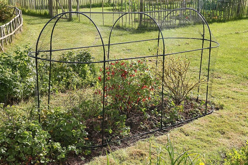 Long Steel Fruit Plant Cage, Black, 300x100x150 cm
