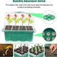 10 Pack 120 Cells NEW Seed Trays with Heightened Lids