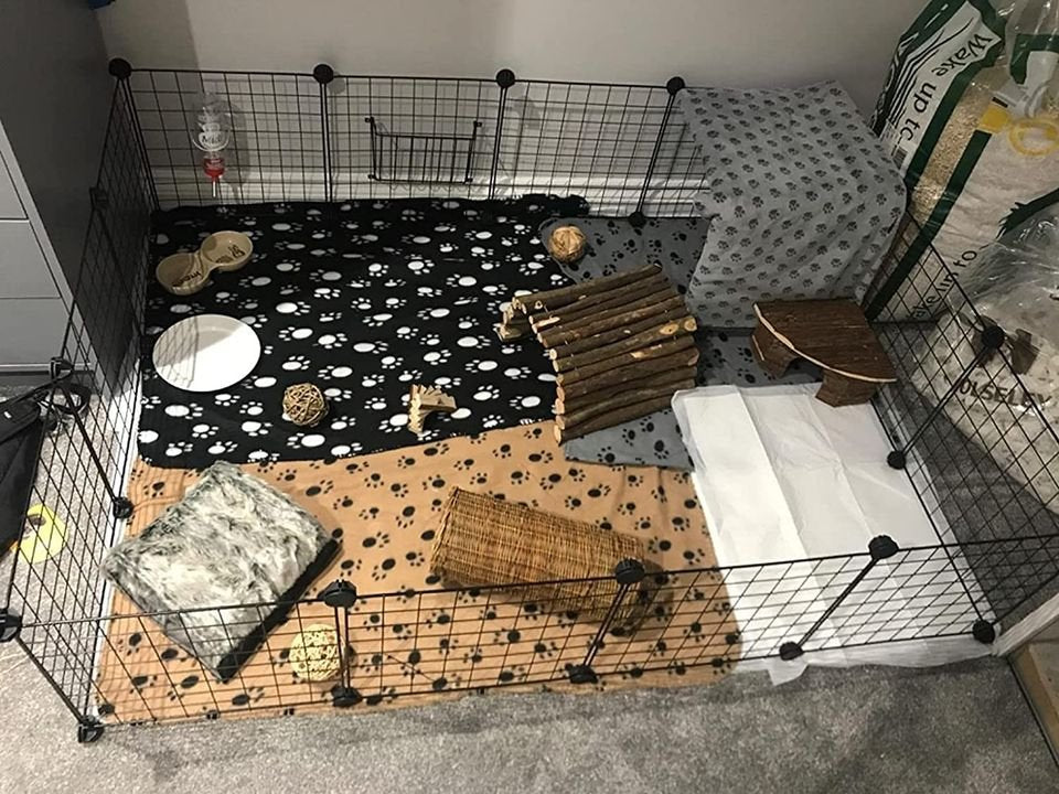 Metal playpen for rabbits best sale