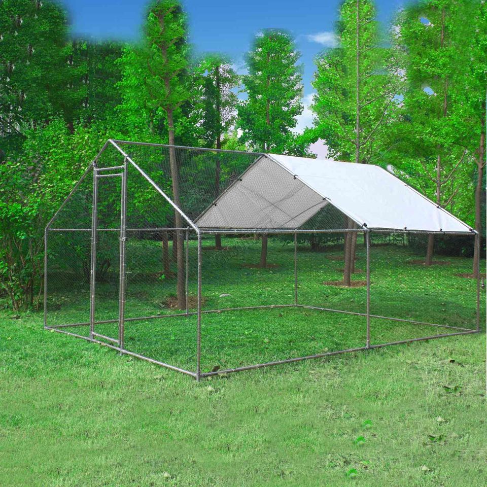 Chicken Run Coop