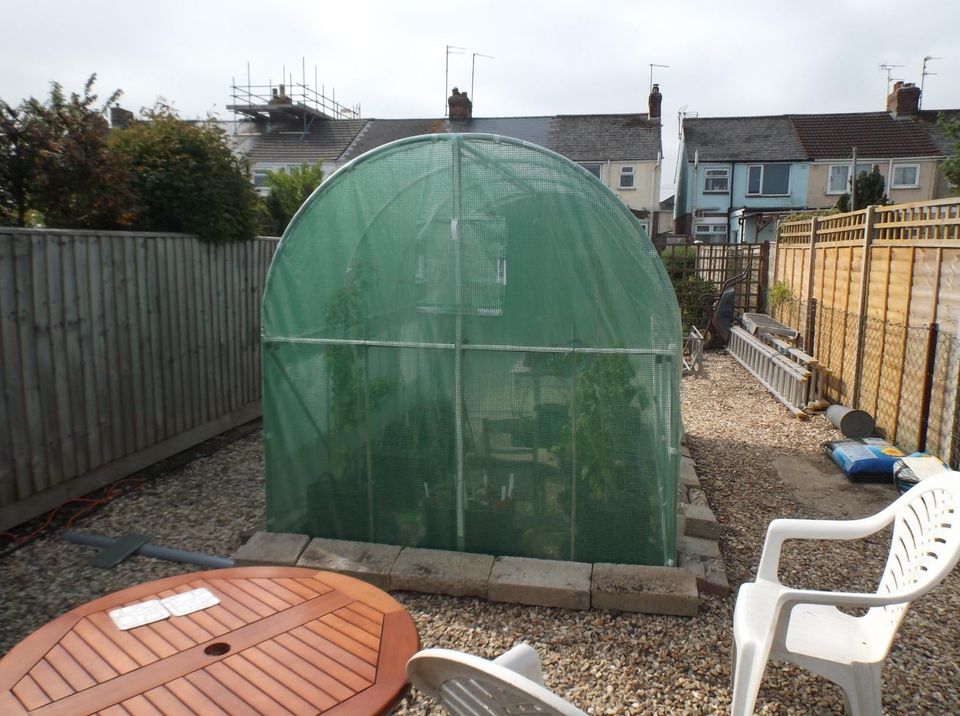 Polytunnel Greenhouse Multiple Sizes - Rackerman