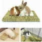 Puppy Bunny Rabbit Guinea Pig Chew Mat