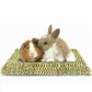 Puppy Bunny Rabbit Guinea Pig Chew Mat