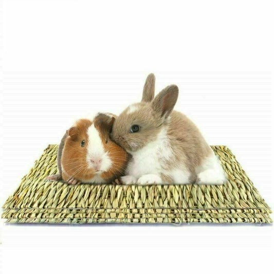 Puppy Bunny Rabbit Guinea Pig Chew Mat