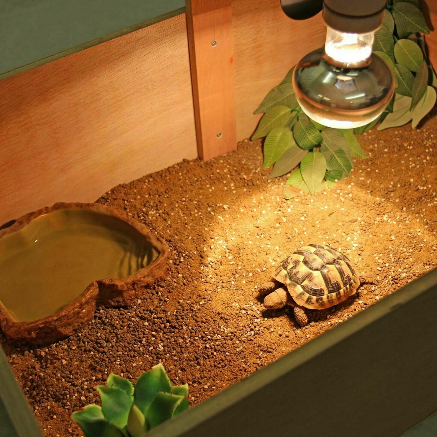 XXL Tortoise Table, Den with Run 45"
